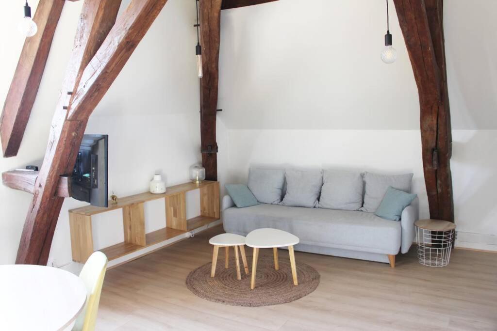 Apartment Cocon Plein Centre - Parking Prive