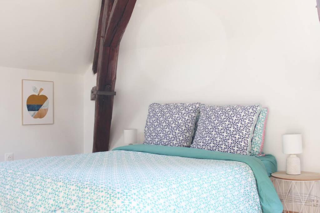 Apartment Cocon Plein Centre - Parking Prive